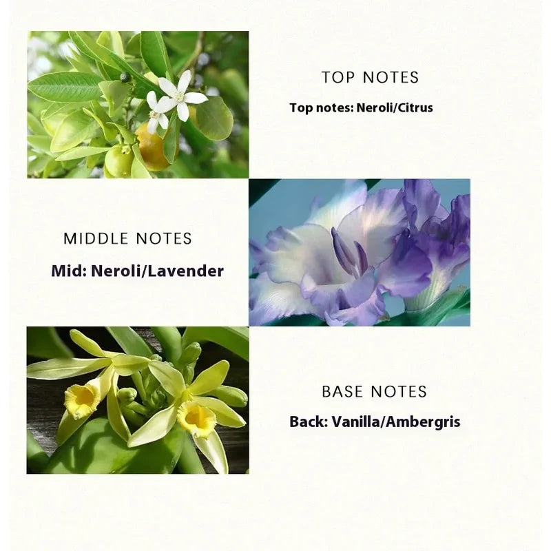 Brand Perfume Musk Women Perfume
